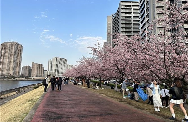 Nhật Bản 'sốt' cuộc đua giành vị trí thủ đô dự phòng cho Tokyo