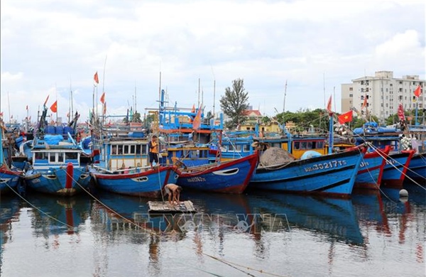 Kêu gọi tàu thuyền về khu neo đậu, tránh trú an toàn