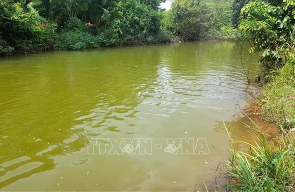 Bị ngã xuống ao, 2 chị em bị đuối nước thương tâm