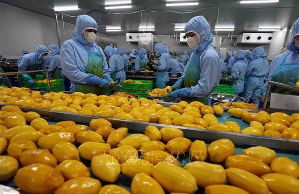 Ban hành Hệ thống ngành sản phẩm Việt Nam