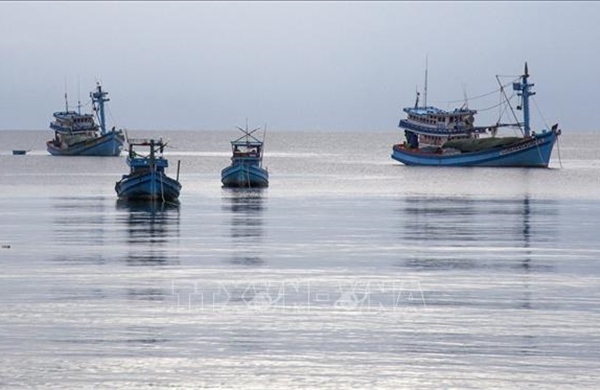 Kiên Giang xử lý triệt để tàu cá &#39;3 không&#39;