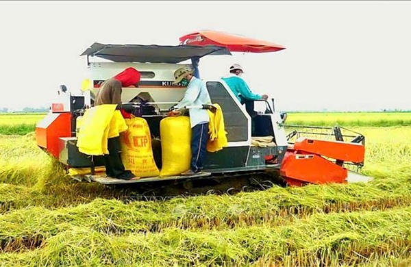 Ấn tượng Việt Nam: Từ quốc gia thiếu đói đến cường quốc nông sản