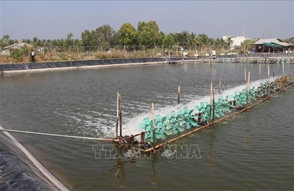 Khởi sắc kinh tế cù lao Tân Phú Đông