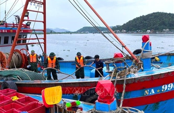 Hiểu rõ về cấp độ gió bão, áp thấp nhiệt đới