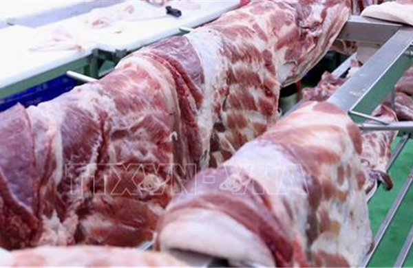 Phạt một cơ sở ở Gia Lai kinh doanh thịt lợn không rõ nguồn gốc