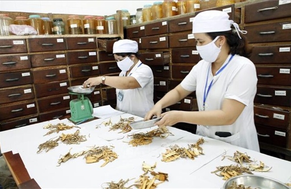 Phát huy vị thế, vai trò của y học cổ truyền trong chăm sóc sức khỏe nhân dân