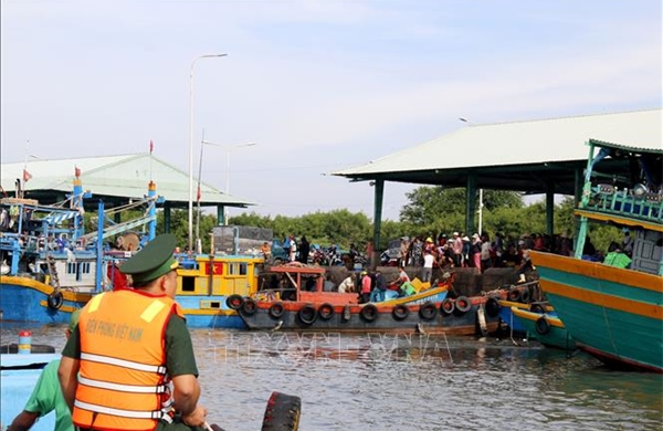 Lâm Đồng: Cao điểm kiểm tra hoạt động thu mua, xuất khẩu thủy sản sang EU