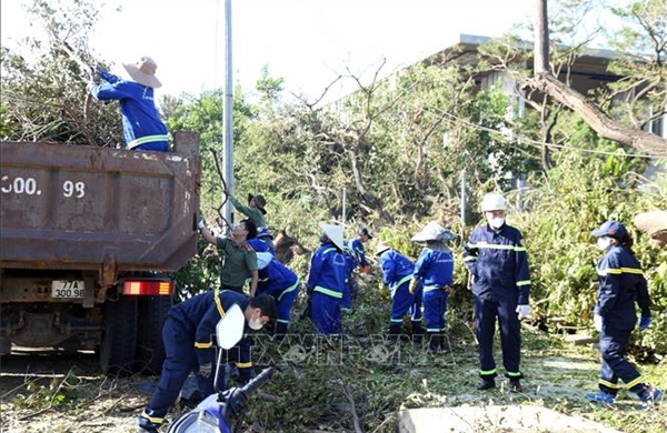 Chung tay khôi phục biển Gia Lai xanh - sạch - đẹp