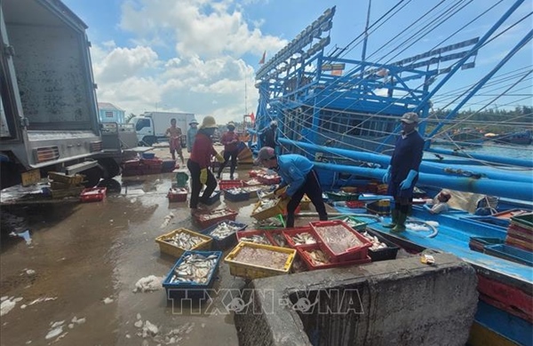 Tất cả tàu cá ở TP Hồ Chí Minh đủ điều kiện đã được cấp phép khai thác