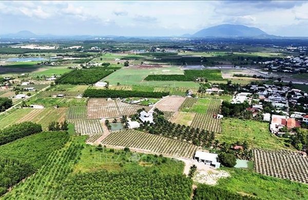 Kỳ vọng nguồn vốn xanh tạo cú hích cho chuyển đổi xanh 