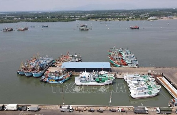 TP Hồ Chí Minh sẽ chi hơn 67 tỷ đồng chuyển đổi nghề cá cho ngư dân