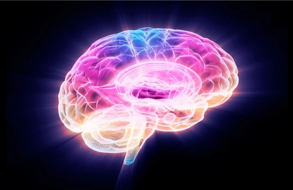 Phát hiện protein giúp bảo vệ sức khỏe não bộ khi lão hóa