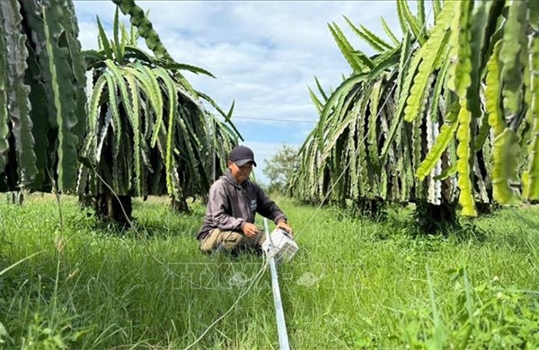 Khắc phục cơ sở hạ tầng, ổn định cuộc sống của nhân dân miền Trung sau bão lũ