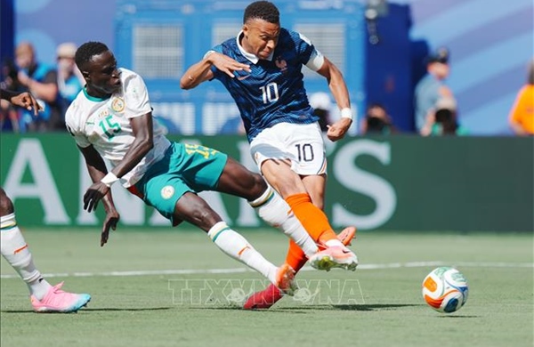 World Cup 2026: 'Gà trống Gaulois' khởi đầu như mơ