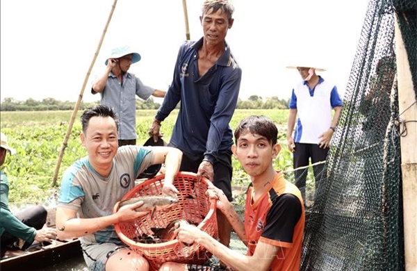 Khám phá nét văn hóa độc đáo giữa 'Đồng Tháp Mười thu nhỏ'