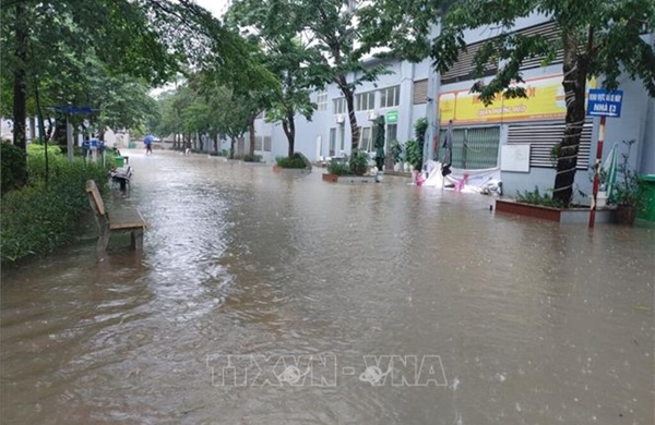 Bão số 4: Hà Nội chủ động ứng phó nguy cơ úng ngập, cây gãy đổ 
