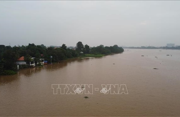 Cảnh báo lũ trên sông Đồng Nai nguy cơ gây ngập lụt vùng trũng, thấp và sạt lở bờ sông