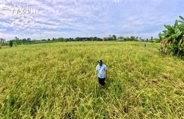 Đại học Quốc gia TP Hồ Chí Minh góp phần xây dựng ĐBSCL phát triển bền vững, thích ứng biến đổi khí hậu