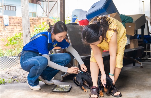 TP Hồ Chí Minh tăng cường phòng, chống bệnh dại trong cao điểm nắng nóng