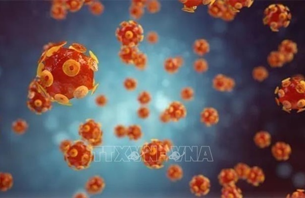 WHO cảnh báo công tác loại trừ viêm gan tiến triển chậm