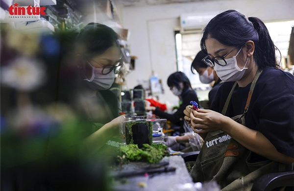 Người khuyết tật làm những hộp quà Giáng sinh độc đáo