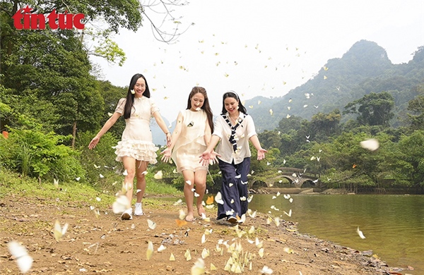 Mùa bướm rực rỡ ở Cúc Phương hút khách trải nghiệm thiên nhiên nguyên sơ