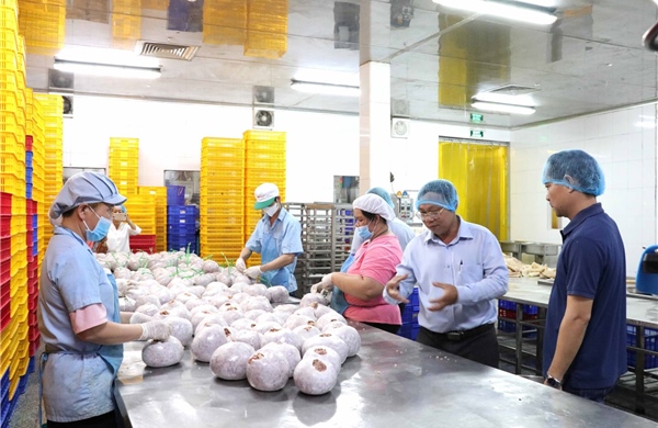 Linh hoạt quy trình nộp thuế hỗ trợ các hộ kinh doanh