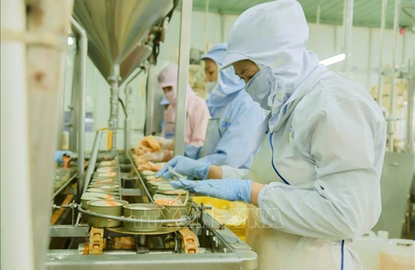Doanh nghiệp Việt khát vọng, cam kết đóng góp mạnh mẽ cho sự phát triển của đất nước