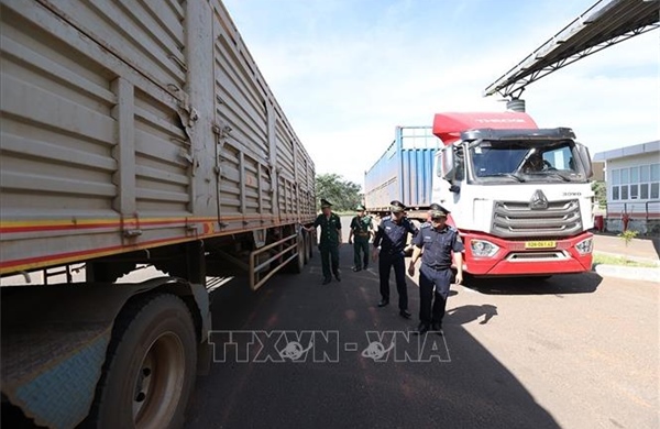  Bố trí lực lượng trực đảm bảo thông quan hàng hóa dịp Tết