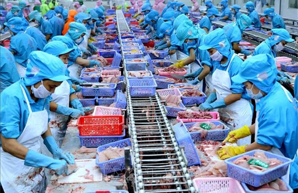 Thủ tướng yêu cầu tăng cường truy xuất nguồn gốc, đảm bảo chất lượng nông, lâm, thủy sản xuất khẩu