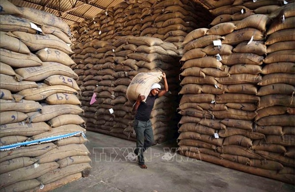 Gạo châu Á chững giá