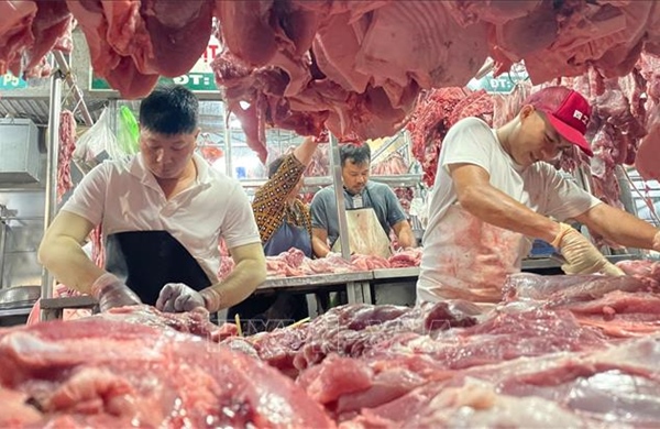 Đầu tư bài bản cho &#39;thịt sạch&#39;