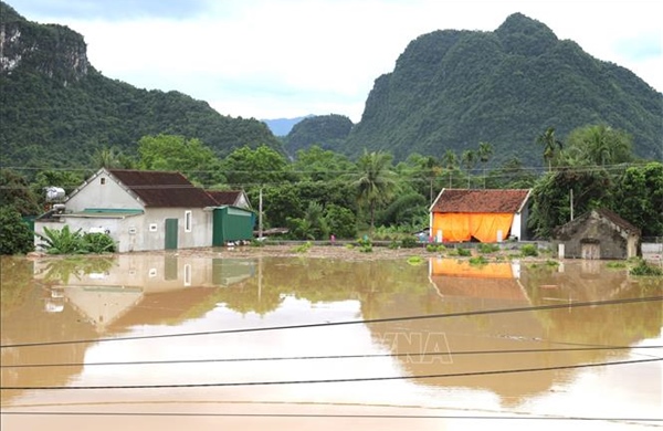 Cảnh báo nguy cơ cao ngập lụt vùng trũng thấp ven hạ lưu sông Cả