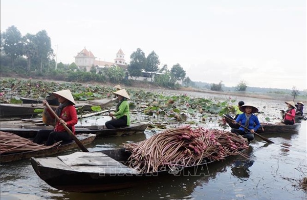Khai thác lợi thế đa dạng, Tây Ninh tăng tốc phát triển du lịch
