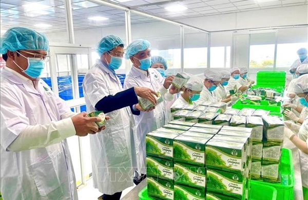 &#39;Đòn bẩy&#39; cho một Việt Nam thịnh vượng - Bài 1: Từ bổ trợ đến vai trò dẫn dắt 