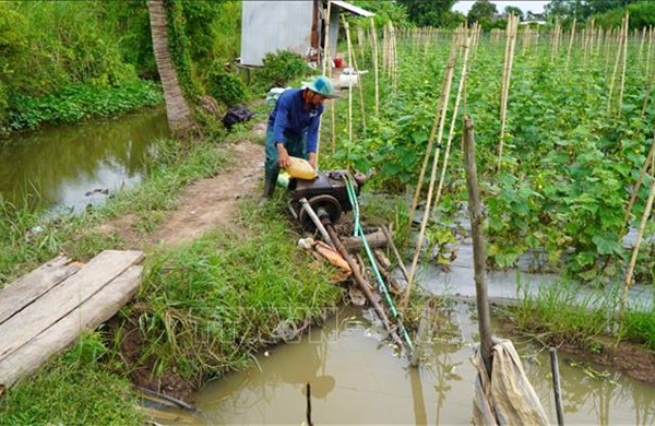 Đồng Tháp: Kịp thời gia cố đê bao xung yếu ứng phó với triều cường