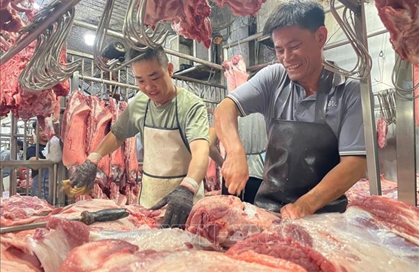 TP Hồ Chí Minh chính thức vận hành sàn giao dịch thịt lợn từ cuối tháng 4