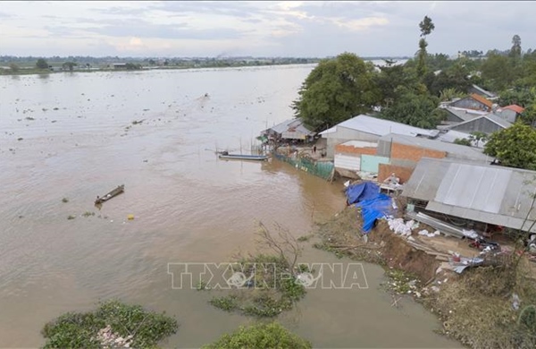 An Giang chủ động ứng phó với sạt lở bờ sông, kênh, rạch