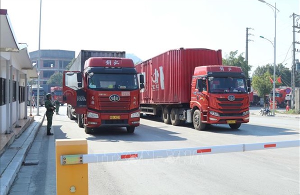 Đồng loạt kiểm tra, xử lý xe kinh doanh vận tải hàng hóa trong toàn quốc