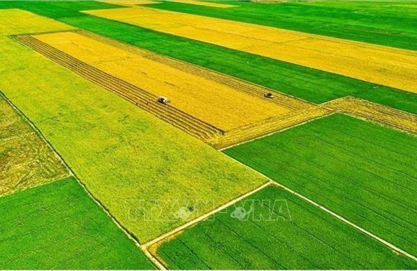 Kiến tạo những vùng quê đáng sống