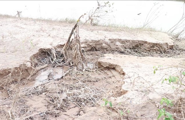 Sạt lở bờ sông Bồ diễn biến phức tạp trong mùa bão lũ
