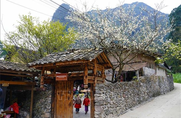 Du lịch Việt Nam 2025: Điểm sáng trong bức tranh tăng trưởng kinh tế, xã hội