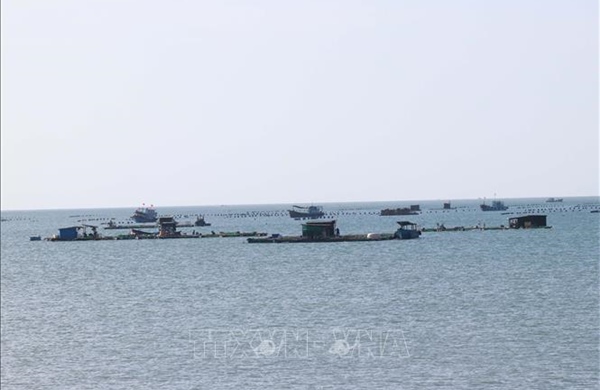 Mở hướng nghề nuôi biển hiện đại, bền vững ở Nam Khánh Hòa