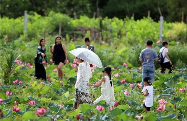 Đà Nẵng hướng tới phát triển du lịch xanh, chất lượng cao