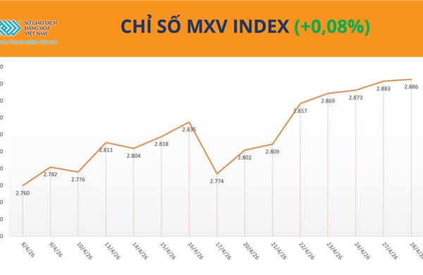 Lực mua tiếp tục áp đảo, chỉ số MXV-Index sát vùng 2.900 điểm