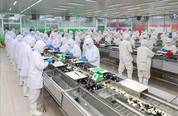 Xuất khẩu nông, lâm, thủy sản tăng 6% trong 6 tháng đầu năm