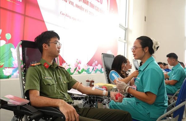 Giải quyết tình trạng khan hiếm máu điều trị