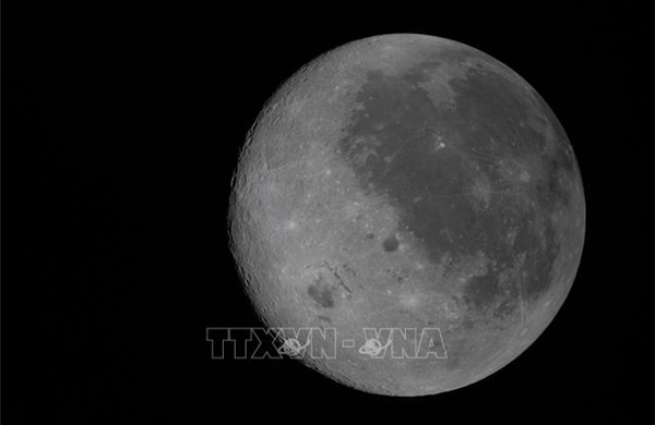 Một số vi sinh vật trên Trái Đất có thể sống sót trên Mặt Trăng