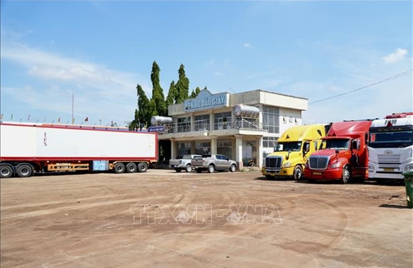 Từ 25 - 30% xe đầu kéo phải nằm bãi vì thiếu tài xế