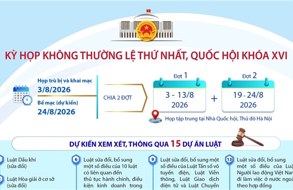 Kỳ họp không thường lệ thứ Nhất, Quốc hội khóa XVI